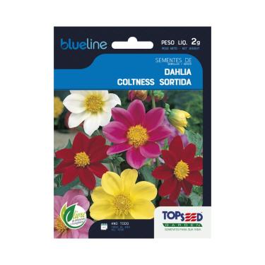 Imagem de Sementes de Dália Coltness Sortida, Flores Coloridas, 2g, Para Todo o Ano