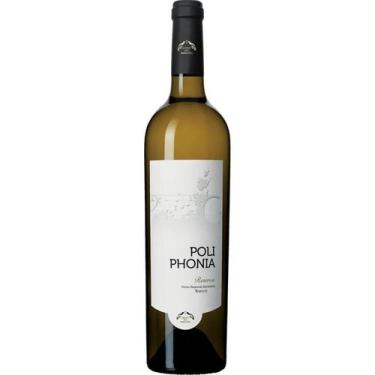 Imagem de Vinho poliphonia reserva branco 750ml - MONTE DOS PERDIGÕES
