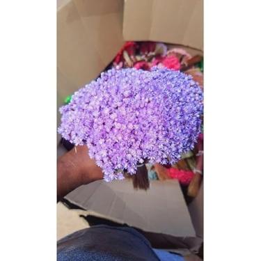 Imagem de Flores Sempre Viva Secas para Decoração – Kit 300 a 2100 Unidades Ideal para Festa Casamento e Arranjos (Lilás,7 buquês)