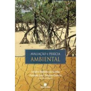 Imagem de Avaliação E Perícia Ambiental