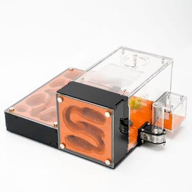 Imagem de Rimsunta Fazenda de formigas para formigas vivas - para pequenos clones de formigas - Brinquedo de aprendizagem natural - Ótimo presente