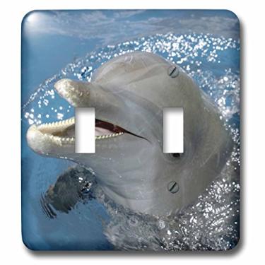 Imagem de 3dRose LLC lsp_86554_2 Atlantic Bottlenose Dolphin, Roatan, Honduras Sa12 Fvi000 Franklin Viola Interruptor duplo