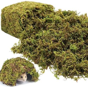 Imagem de Riare Musgo artificial artificial de 1,2 kg para plantas falsas em ambientes internos - Musgo sintético premium para vaso de plantas, verde floresta fresca para hamsters, micropaisagem, terrários