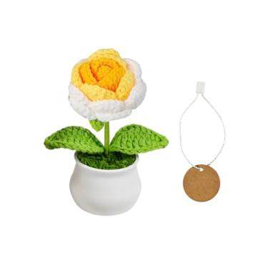Imagem de Mini vasos de plantas e flores de crochê feitos à mão para apoio emocional | apreciação de professores e funcionários | formatura de aniversário | Decoração de mesa de escritório em casa