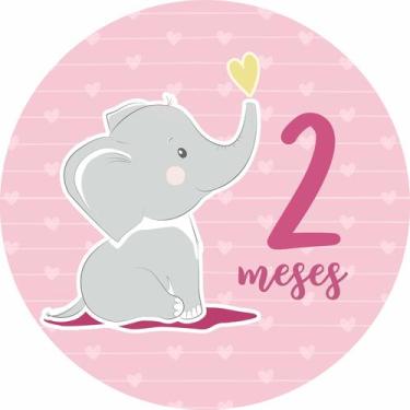 Imagem de Painel de Lona Redondo Mesversário Aniversário de 2 Meses Menina - Fab