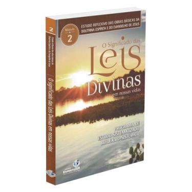 Imagem de O Significado das Leis Divinas em Nossas Vidas - Estudos reflexivos - 