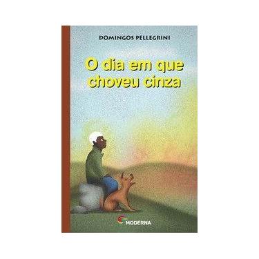 Imagem de Livro - O dia em que choveu cinza