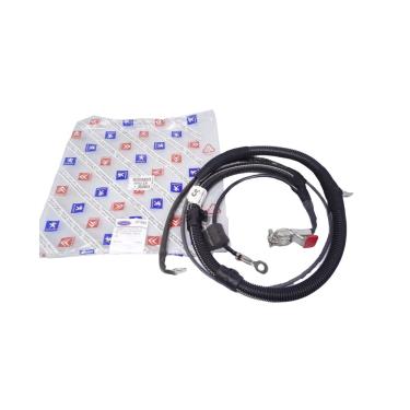 Imagem de Peugeot 206 Cabo Chicote Positivo Da Bateria Novo 
