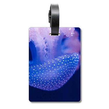 Imagem de Medusa Marine Organism Tropical Sea Mala Etiqueta Cartão de Bagagem Pendurado Etiqueta Scutcheon Etiqueta, Multicolorido.
