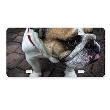 Imagem de DIYthinker Bulldog Pet Fotografia de animais para animais de estimação, placa de licença decoração de aço inoxidável automóvel
