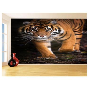 Imagem de Papel De Parede Animais Tigre Campo Sol Andar 3,5M Anm564
