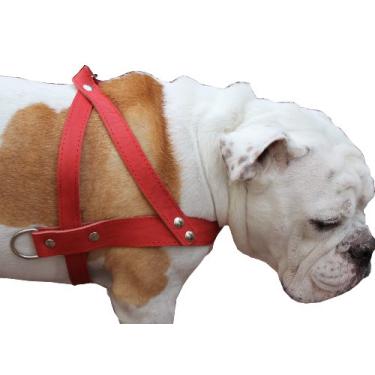 Imagem de Peitoral de couro para puxar para cães 78,7 cm - 88,9 cm Peito, 3,8 cm de largura Pitt Bull, Rottweiler