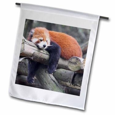 Imagem de 3dRose fl_100288_1 Adorável Panda vermelho, província de Sichuan, bandeira de jardim da China, 30 x 45 cm