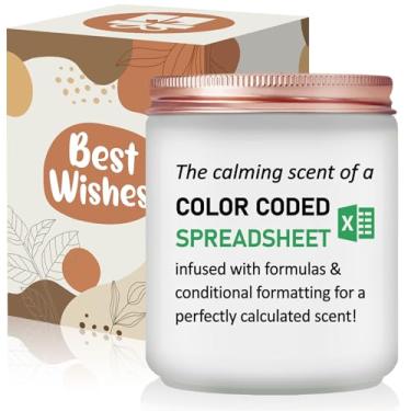 Imagem de Risnoae Presentes de contador, analista de dados, especialista em marketing, presentes engraçados - Planilha de humor Excel para aniversário, presente de vela de Natal para colega de trabalho, colega