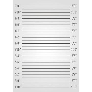 Imagem de ZhrGoflli Pano de fundo de caneca de 1,8 x 2,4 m para sessão de fotos da polícia, tabelas de altura, tema misterioso de assassinato, fundo para festas, medições precisas, pôster, sessão de fotos