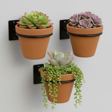 Imagem de Kit 03 Suporte Vaso de Parede Preto para Plantas Redondo Aço Reforçado + Parafusos e Buchas