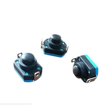 Imagem de Switch Elimination IInstrument Interruptor de botão portátil 250v 16a