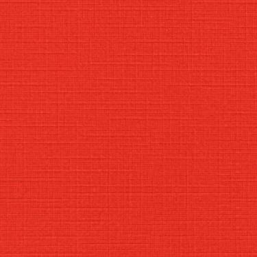 Imagem de Papel Color Plus Tx - Vermelho Vivo - Tóquio (10Un)