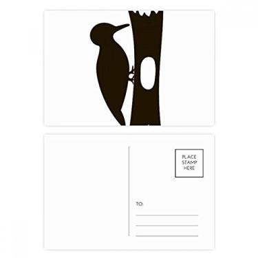 Imagem de Black Woodpecer Animal Portrayal Conjunto de cartões postais de aniversário Cartão de agradecimento