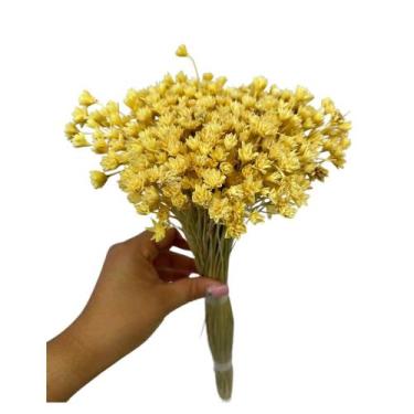 Imagem de Buque Flor Espeta Nariz Desidratado Arranjos Pinterest Decor - Inspira