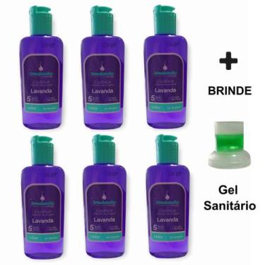 Imagem de Kit 6 Cheirinho Concentrado Desinfetante Limpeza Essência Casa Ambient