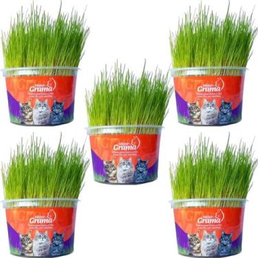 Imagem de Kit 5un Graminha para Gatos - Mister Grama - GRUPO MISTER