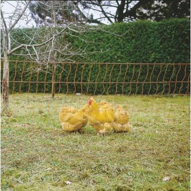 Imagem de Caminhao Mercedes Benz UNIMOG - U 1300 L Winterdienst Snowpl - REVELL