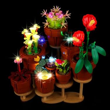 Imagem de Kyglaring Display Stand and LED Lighting Kit for Lego 10329 Icons Tiny Plants Building Set - Multiple Stand Display Options and Led Lights Upgrades for Lego Tiny Plants Set