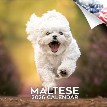 Imagem de Calendário maltês 2025 2026 – Calendário mensal de parede da raça canina – 30,5 cm x 61 cm – Papel grosso sem derramamento – Presente – Calendário de planejamento e organização de professores