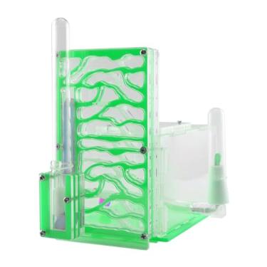 Imagem de Baoblaze Casa de formigas, de acrílico, fazenda, vila, transparente, compacto, com alimentador, aprendizado, umidade, caixa- para casa de formigas, Verde