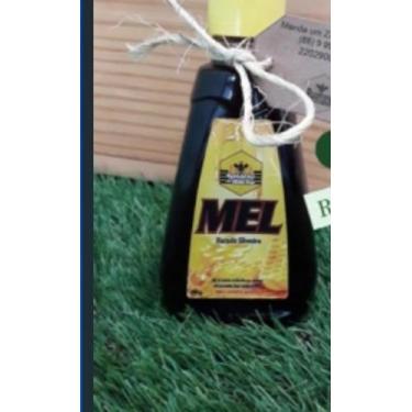 Imagem de Mel de abelha  puro florada silvestre 290g - C.N