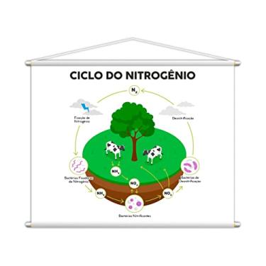 Imagem de Ciclo do Nitrogênio Banner Escolar Pedagógico 130x100cm