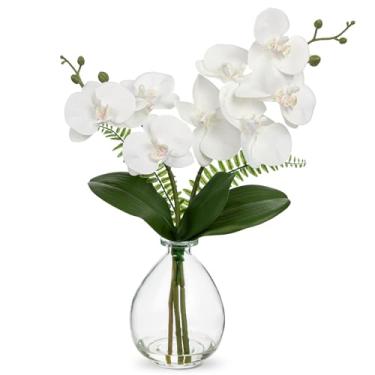 Imagem de Orquídeas brancas, flores artificiais, orquídeas falsas em vaso de vidro, toque real, pequenos arranjos de flores de orquídea Phalaenopsis com vaso transparente para mesa de sala de jantar