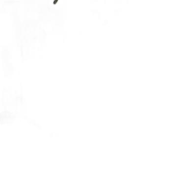 Imagem de Kit 16 Ripas Shiplap Mdf Madeira Lambri Parede Revestimento