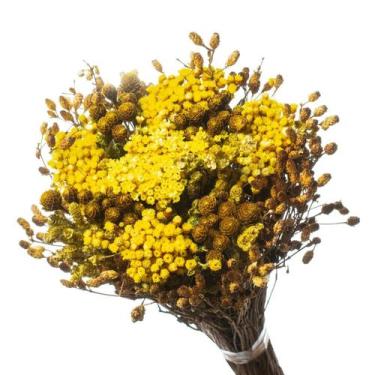 Imagem de Buquê Preservado Rústico Colorido I Flores Desidratadas - Pense Flores