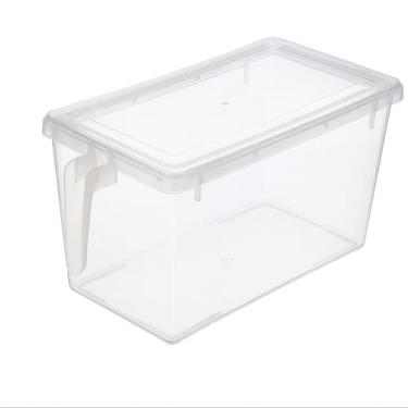 Imagem de Caixa Organizadora Transparente com Tampa, PP Alimentício, 25x14x12 cm, Multiuso para Geladeira e Despensa