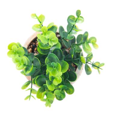 Imagem de CACHEPOT SUCULENTA TRELIÇA 19CM WOLFF