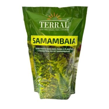Imagem de Substrato para Samambaia Terral  Ideal para Plantio e Manutenção, G, S