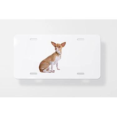 Imagem de Capa para placa de carro Chihuahua 5 – Capa para placa de carro – Capa para placa de carro 15 x 30 cm
