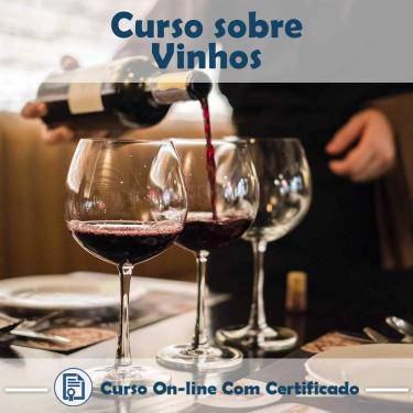 Imagem de Curso online em videoaula sobre Vinhos com Certificado + 2 brindes
