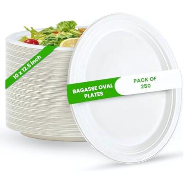 Imagem de FPN Pratos ovais descartáveis (250, grande) cana de açúcar ecológica – biodegradável, compostável, resistente, livre de BPA, seguro para micro-ondas e freezer – perfeito para festas, casamentos