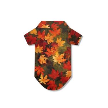 Imagem de Bivxisrvo Camisetas polo fofas de folha de bordo vermelha para cães grandes, meninas, fofas, com colarinho, macia, respirável, roupas de outono para filhotes, gatos, cães, para aniversário