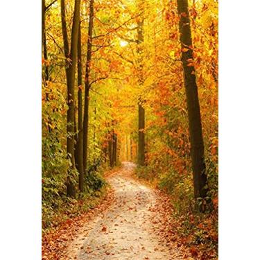 Imagem de Cenário de Fotografia Fall Forest Path NCJ01976, FF-D3, 6x8ft