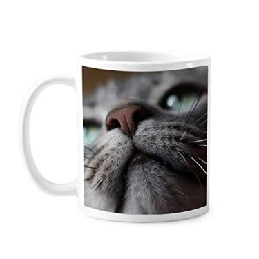 Imagem de Caneca de foto de gato com animal olhando para cima, cerâmica, café, porcelana, louça, louça