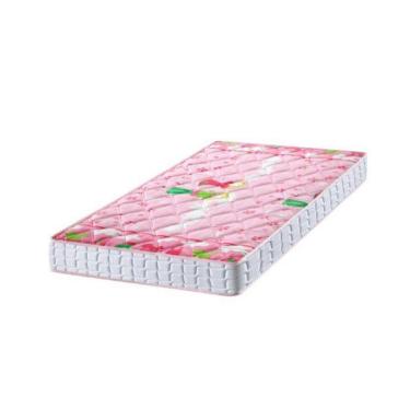Imagem de Colchão Solteiro Santa Clara Espuma D20 Bordado 88x188x14cm