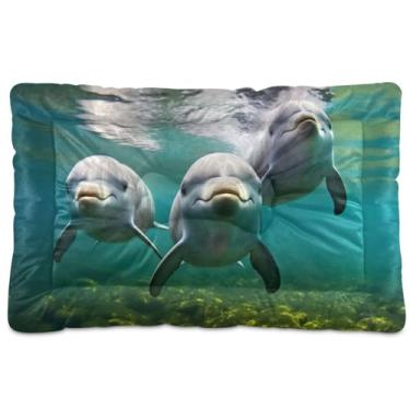 Imagem de Wassud Cama de cachorro adorável golfinhos desenhados à mão com corações grandes para cães ao ar livre tapete de cama lavável para animais de estimação cama de gato para dormir viagens 91 x 61 cm