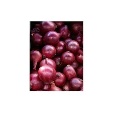 Imagem de 100 unidades Sementes Cebola Roxa, Orgânica, Tamanho Grande, Ideal para Culinária e Saladas, 1 Unidade