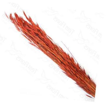 Imagem de Capim Trigão Flor Desidratada Buque Flores Secas - Pense Flores, Verme