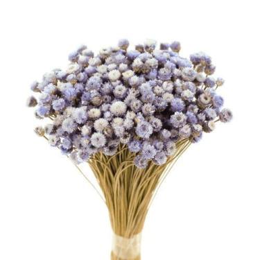 Imagem de Planta Seca Botão Jazida Desidratado Lilás - Pense Flores