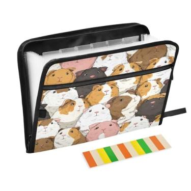 Imagem de CEBUGI Pasta expansível com 13 bolsos, organizador de arquivos sanfonado à prova d'água com etiquetas tamanho A4, organizador de documentos de papel para escola, material de escritório